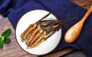 冬蟲(chóng)夏草有何藥用價(jià)值，蟲(chóng)草有啥子作用