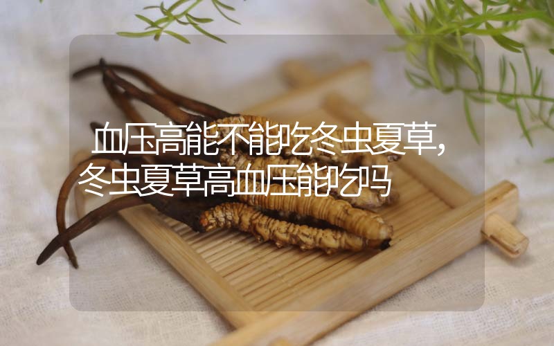 血壓高能不能吃冬蟲夏草，冬蟲夏草高血壓能吃嗎？