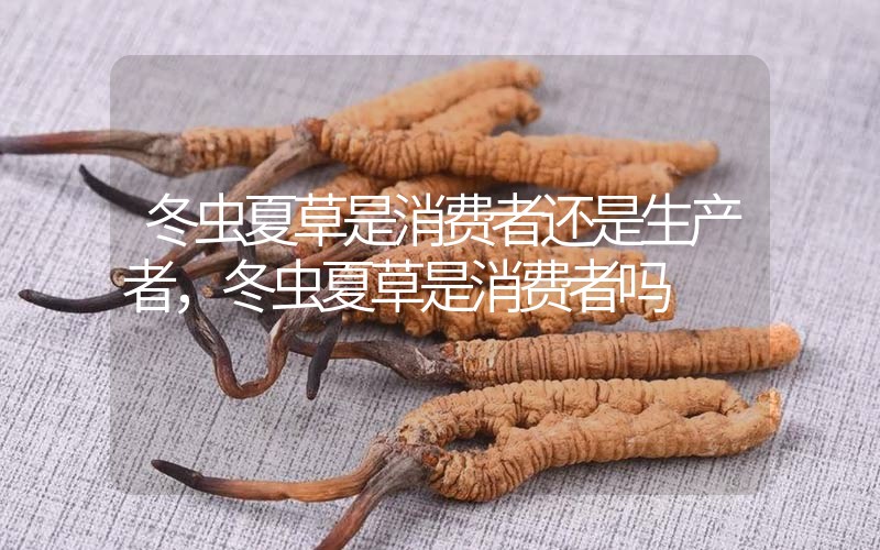 貧血吃冬蟲夏草有效果嗎，貧血虛弱者可以用冬蟲夏草嗎？
