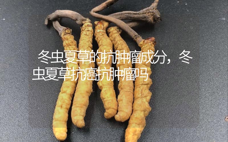 冬蟲夏草的抗腫瘤成分，冬蟲夏草抗癌抗腫瘤嗎？