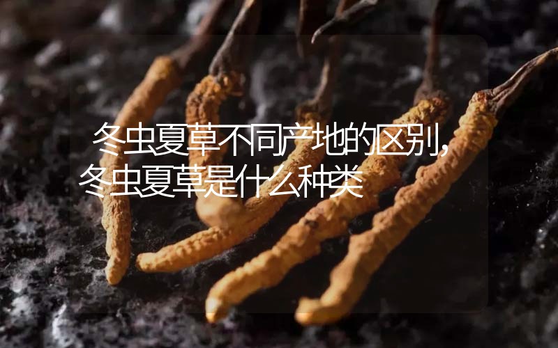 冬蟲(chóng)夏草不同產(chǎn)地的區(qū)別，冬蟲(chóng)夏草是什么種類