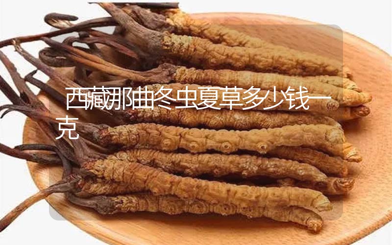 西藏那曲冬蟲(chóng)夏草多少錢(qián)一克？