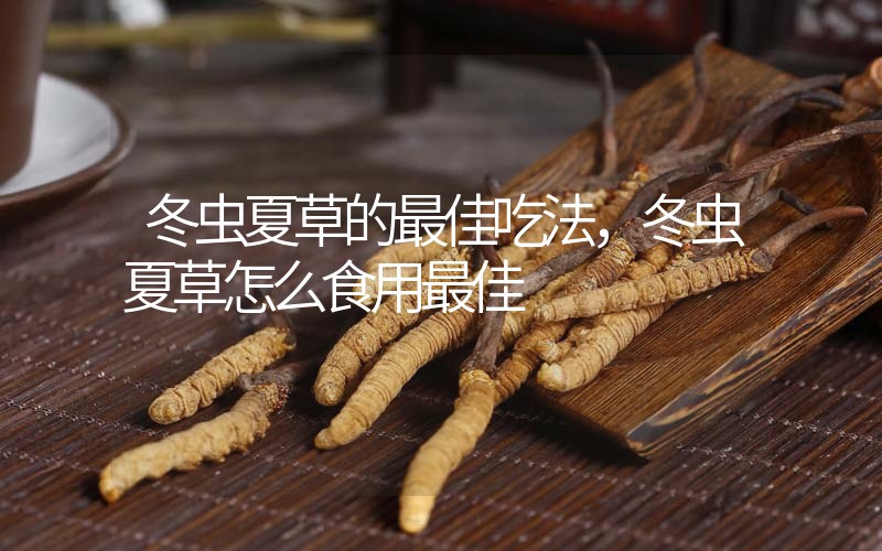 冬蟲(chóng)夏草的最佳吃法，冬蟲(chóng)夏草怎么食用最佳
