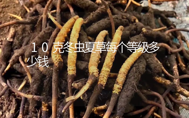 10克冬蟲夏草每個等級多少錢？
