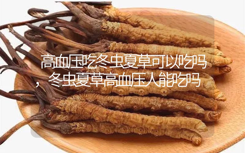 高血壓吃冬蟲夏草可以吃嗎？冬蟲夏草高血壓人能吃嗎？