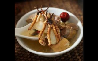 冬蟲(chóng)夏草怎么吃比較好？