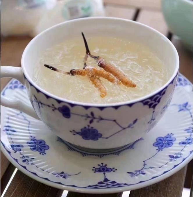 養(yǎng)生小竅門：冬蟲夏草燉什么好喝？