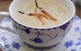 端午節(jié)應(yīng)該怎么吃冬蟲夏草？