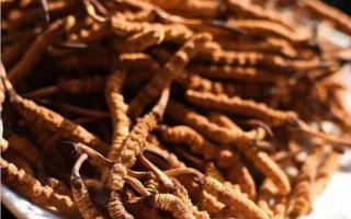 消費(fèi)者買到的冬蟲夏草會(huì)“缺斤少兩”嘛？