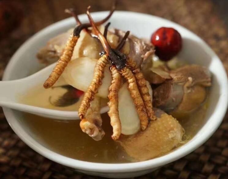 冬蟲夏草可以飯后吃嗎？