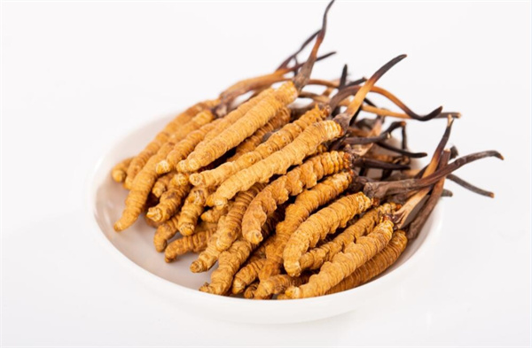 冬蟲(chóng)夏草和寒露蜜搭配的吃法