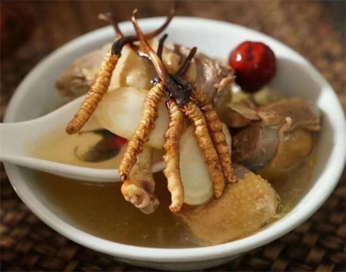 小孩子可以吃冬蟲夏草嗎？