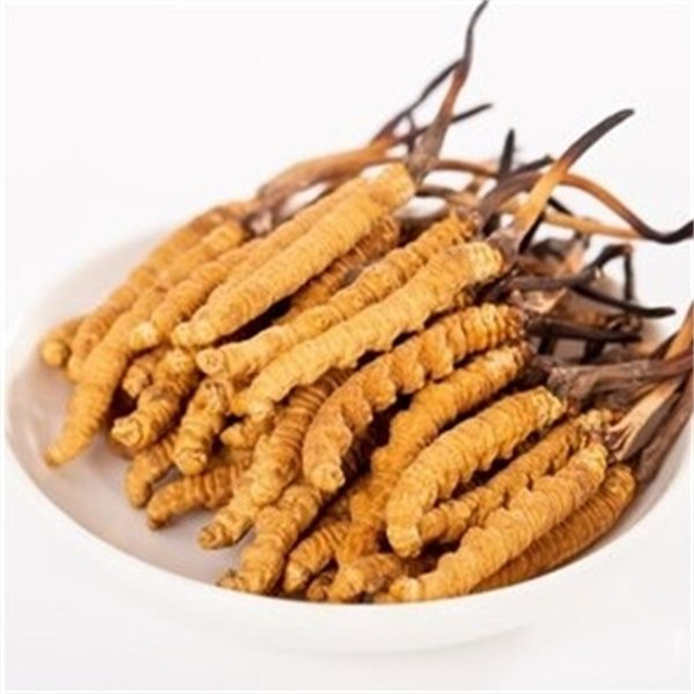 真的冬蟲夏草什么價(jià)格？冬蟲夏草價(jià)格的波動(dòng)與市場(chǎng)影響因素