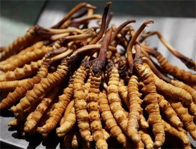 手術(shù)后能否食用冬蟲夏草？冬蟲夏草在手術(shù)后的適用情況
