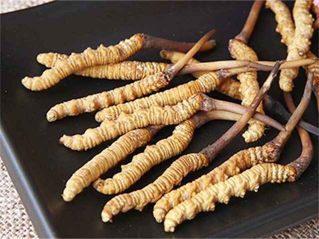 真的冬蟲夏草什么價(jià)格？影響冬蟲夏草價(jià)格波動(dòng)的3個(gè)關(guān)鍵因素