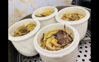 冬蟲夏草燉什么最好？5種黃金搭配讓滋補效果翻倍