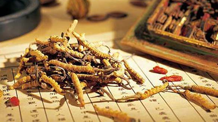 泥巴草與冬蟲夏草：一文讀懂二者差異