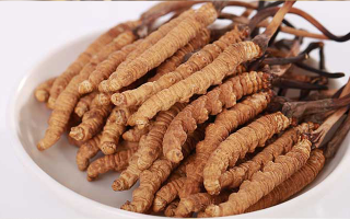 冬蟲(chóng)夏草適合所有人群?jiǎn)?？一文揭?> </div>
            <div   id=