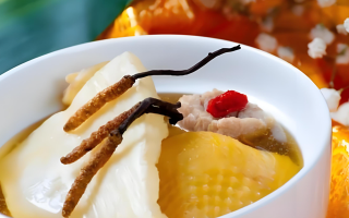 冬蟲夏草每天什么時(shí)候吃最好？一文詳解最佳食用時(shí)間