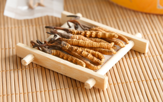 冬蟲夏草可以干燥存放嗎？科學(xué)儲存方法與注意事項
