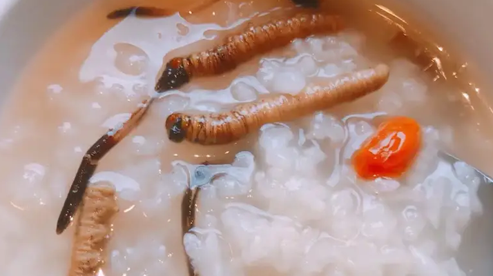 冬蟲夏草適合哪些人群？精準(zhǔn)匹配與禁忌提醒