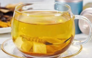 新鮮冬蟲(chóng)夏草怎么泡？解鎖鮮蟲(chóng)草的正確沖泡方式
