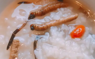 冬蟲(chóng)夏草適合哪些人群？精準(zhǔn)匹配與禁忌提醒