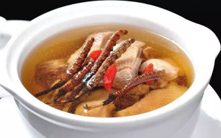 冬蟲夏草怎樣燉是最好的？掌握這幾步，營(yíng)養(yǎng)不流失還美味