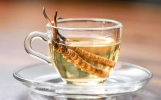 一瓶酒泡多少冬蟲(chóng)夏草？科學(xué)搭配有講究