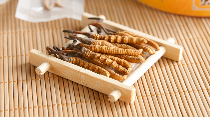 冬蟲(chóng)夏草怎么燉比較好 